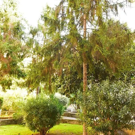 House Piramide 4* Ρώμη